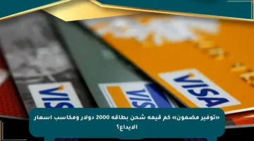 «توفير مضمون» كم قيمة شحن بطاقة 2000 دولار ومكاسب أسعار الإيداع؟